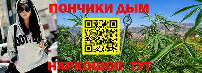 скорость Дубна