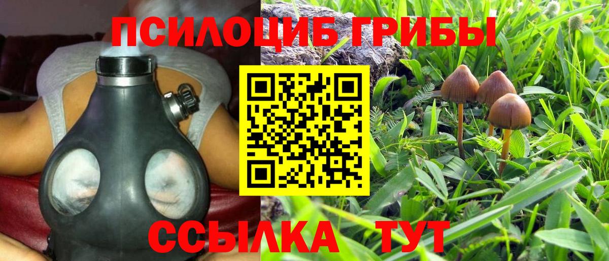 Галлюциногенные грибы Cubensis Новодвинск